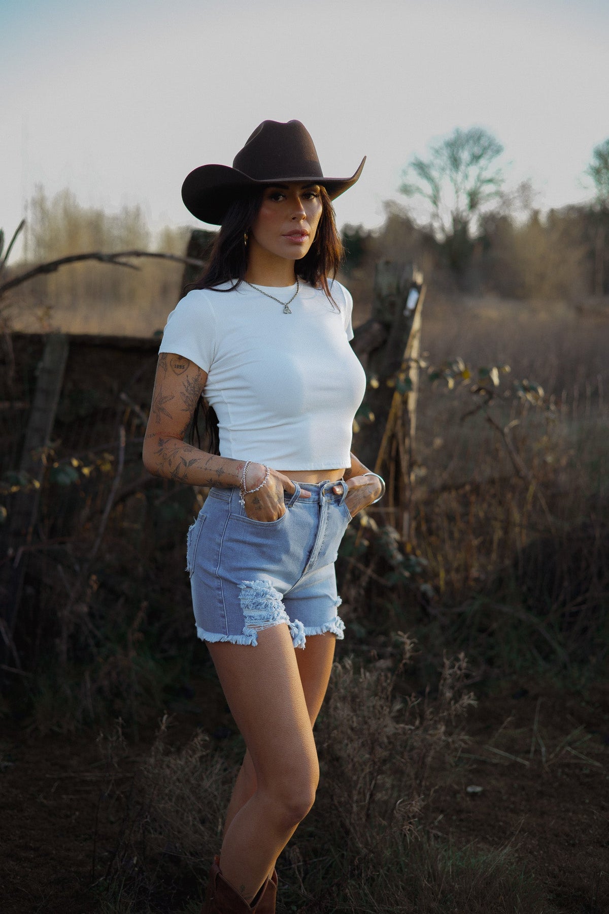 Breanne Distressed High Rise Shorts