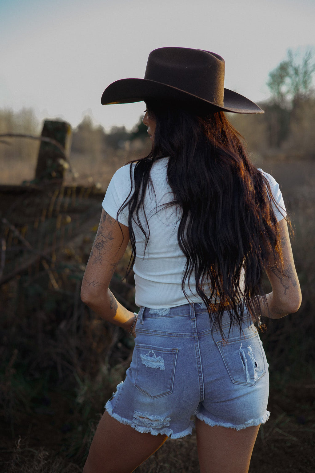 Breanne Distressed High Rise Shorts