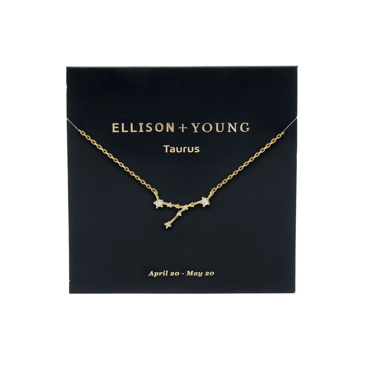 Zodiac Collection Necklace