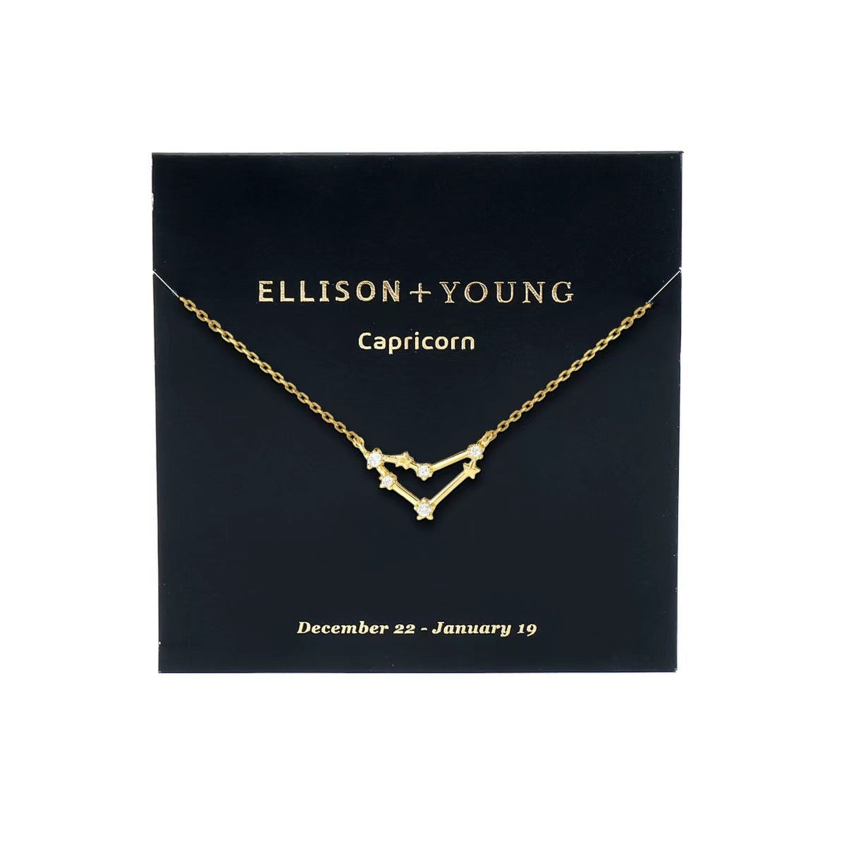 Zodiac Collection Necklace